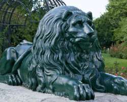 When you enter the rose garden, you will see a huge sculpture of a lion. It is called Lion de la Feuillée. It was a gift on the 350th anniversary of M
